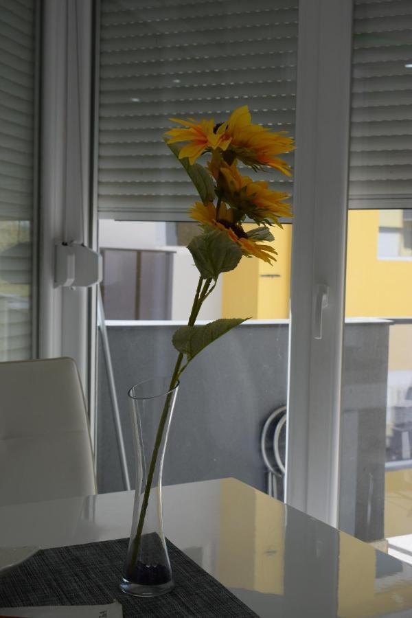 Apartmani K&V Veliko Gradiste Exterior photo